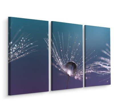 Obraz Wieloczęściowy Krople Wody Na Nasionach Mniszka Lekarskiego W Skali Makro Canvas 120x80 LBS-3693-C120-80_3X40-80