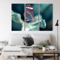Obraz Wieloczęściowy Motyl Ze Szklanymi Skrzydłami Z Bliska Canvas 120x80 LBS-3668-C120-80_3X40-80