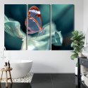 Obraz Wieloczęściowy Motyl Ze Szklanymi Skrzydłami Z Bliska Canvas 120x80 LBS-3668-C120-80_3X40-80
