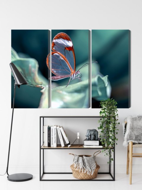 Obraz Wieloczęściowy Motyl Ze Szklanymi Skrzydłami Z Bliska Canvas 120x80 LBS-3668-C120-80_3X40-80