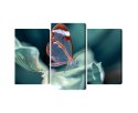 Obraz Wieloczęściowy Motyl Ze Szklanymi Skrzydłami Z Bliska Canvas 120x80 LBS-3669-C120-80_1X40-80_2X40-60