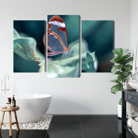 Obraz Wieloczęściowy Motyl Ze Szklanymi Skrzydłami Z Bliska Canvas 120x80 LBS-3669-C120-80_1X40-80_2X40-60