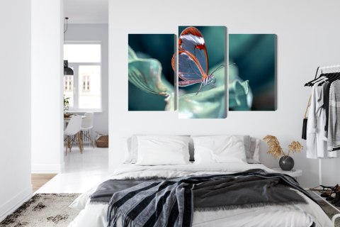 Obraz Wieloczęściowy Motyl Ze Szklanymi Skrzydłami Z Bliska Canvas 120x80 LBS-3669-C120-80_1X40-80_2X40-60