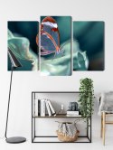 Obraz Wieloczęściowy Motyl Ze Szklanymi Skrzydłami Z Bliska Canvas 120x80 LBS-3669-C120-80_1X40-80_2X40-60