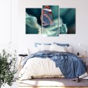 Obraz Wieloczęściowy Motyl Ze Szklanymi Skrzydłami Z Bliska Canvas Naturalny 90x60 LBS-3669-NC90-60_1X30-60_2X30-45