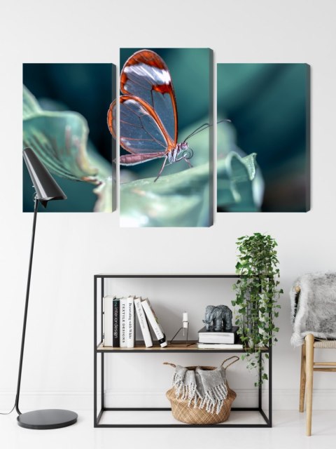 Obraz Wieloczęściowy Motyl Ze Szklanymi Skrzydłami Z Bliska Canvas Naturalny 90x60 LBS-3669-NC90-60_1X30-60_2X30-45