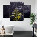 Obraz Wieloczęściowy Roślina Konopi Na Zadymionym Tle Canvas Naturalny 80x60 LBS-3970-NC80-60_2X20-60_2X20-40