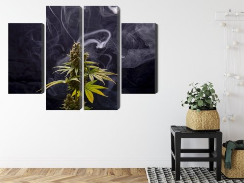 Obraz Wieloczęściowy Roślina Konopi Na Zadymionym Tle Canvas Naturalny 80x60 LBS-3970-NC80-60_2X20-60_2X20-40