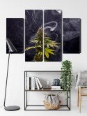 Obraz Wieloczęściowy Roślina Konopi Na Zadymionym Tle Canvas Naturalny 80x60 LBS-3970-NC80-60_2X20-60_2X20-40