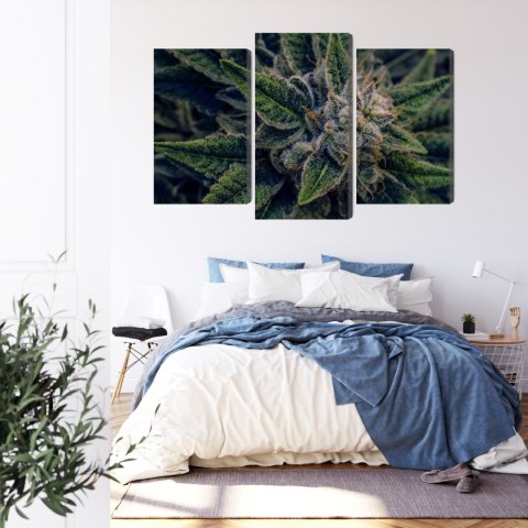 Obraz Wieloczęściowy Roślina Konopi Z Bliska Canvas Naturalny 90x60 LBS-3974-NC90-60_1X30-60_2X30-45
