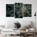 Obraz Wieloczęściowy Roślina Konopi Z Bliska Canvas Naturalny 90x60 LBS-3974-NC90-60_1X30-60_2X30-45