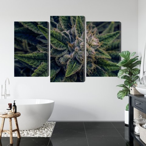Obraz Wieloczęściowy Roślina Konopi Z Bliska Canvas Naturalny 90x60 LBS-3974-NC90-60_1X30-60_2X30-45