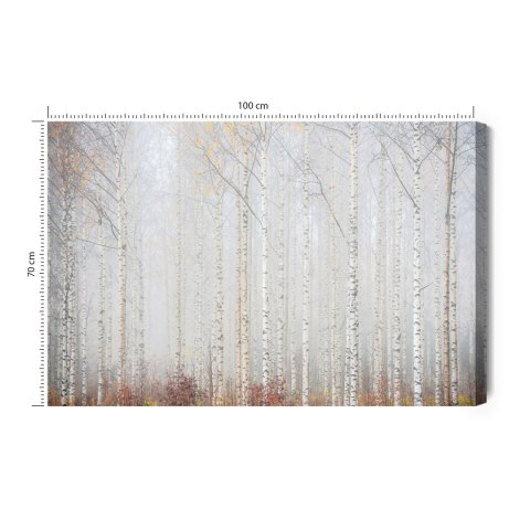 Obraz Na Płótnie Brzozowy Las We Mgle Canvas Naturalny 100x70 LB-240-NC100-70