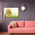 Obraz Na Płótnie Rysowany Słonecznik W Stylu Retro Canvas Naturalny 100x70 LB-2784-NC100-70