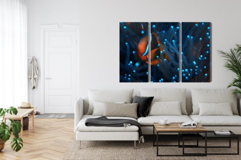 Obraz Wieloczęściowy Błazenek W Anemonie 3D Canvas 120x80 LBS-3663-C120-80_3X40-80