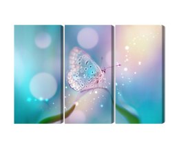Obraz Wieloczęściowy Delikatny Motyl Na Źdźble Trawy W Skali Makro Canvas 120x80 LBS-3963-C120-80_3X40-80