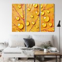 Obraz Wieloczęściowy Krople Wody Na Jesiennym Liściu Makro Canvas 120x80 LBS-3818-C120-80_3X40-80