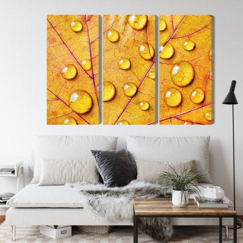 Obraz Wieloczęściowy Krople Wody Na Jesiennym Liściu Makro Canvas 120x80 LBS-3818-C120-80_3X40-80