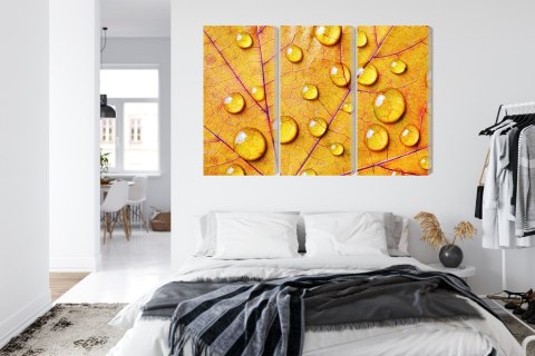 Obraz Wieloczęściowy Krople Wody Na Jesiennym Liściu Makro Canvas 120x80 LBS-3818-C120-80_3X40-80