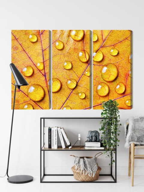 Obraz Wieloczęściowy Krople Wody Na Jesiennym Liściu Makro Canvas 120x80 LBS-3818-C120-80_3X40-80