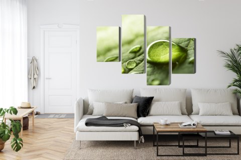 Obraz Wieloczęściowy Krople Wody Na Liściu W Skali Makro Canvas 120x75 LBS-3681-C120-75_2X30-75_2X30-45