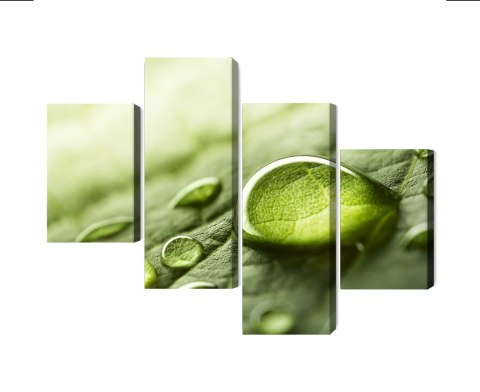 Obraz Wieloczęściowy Krople Wody Na Liściu W Skali Makro Canvas Naturalny 80x50 LBS-3681-NC80-50_2X20-50_2X20-30