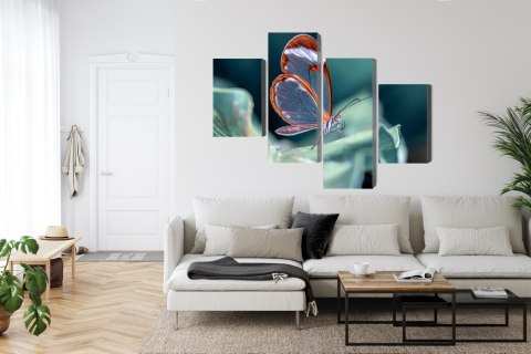 Obraz Wieloczęściowy Motyl Ze Szklanymi Skrzydłami Z Bliska Canvas 120x75 LBS-3671-C120-75_2X30-75_2X30-45
