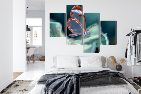 Obraz Wieloczęściowy Motyl Ze Szklanymi Skrzydłami Z Bliska Canvas 120x75 LBS-3671-C120-75_2X30-75_2X30-45