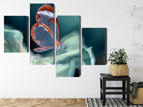 Obraz Wieloczęściowy Motyl Ze Szklanymi Skrzydłami Z Bliska Canvas 120x75 LBS-3671-C120-75_2X30-75_2X30-45