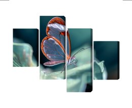 Obraz Wieloczęściowy Motyl Ze Szklanymi Skrzydłami Z Bliska Canvas Naturalny 80x50 LBS-3671-NC80-50_2X20-50_2X20-30