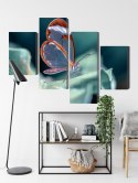 Obraz Wieloczęściowy Motyl Ze Szklanymi Skrzydłami Z Bliska Canvas Naturalny 80x50 LBS-3671-NC80-50_2X20-50_2X20-30