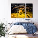 Obraz Wieloczęściowy Osa W Skali Makro Canvas 120x80 LBS-3673-C120-80_3X40-80