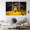 Obraz Wieloczęściowy Osa W Skali Makro Canvas 120x80 LBS-3673-C120-80_3X40-80