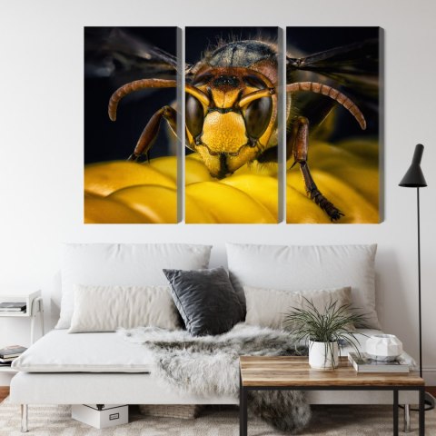 Obraz Wieloczęściowy Osa W Skali Makro Canvas 120x80 LBS-3673-C120-80_3X40-80