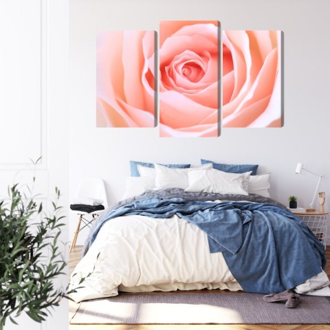 Obraz Wieloczęściowy Pastelowa Róża W Makroskali 3D Canvas 120x80 LBS-3814-C120-80_1X40-80_2X40-60