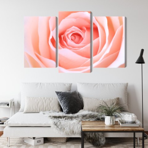 Obraz Wieloczęściowy Pastelowa Róża W Makroskali 3D Canvas 120x80 LBS-3814-C120-80_1X40-80_2X40-60