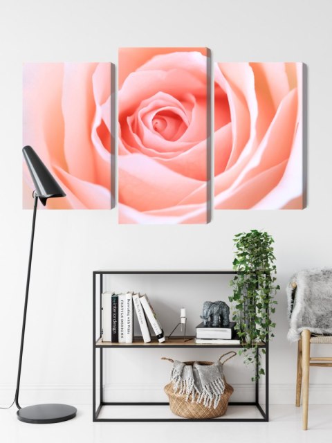 Obraz Wieloczęściowy Pastelowa Róża W Makroskali 3D Canvas 120x80 LBS-3814-C120-80_1X40-80_2X40-60