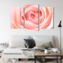 Obraz Wieloczęściowy Pastelowa Róża W Makroskali 3D Canvas Naturalny 90x60 LBS-3814-NC90-60_1X30-60_2X30-45