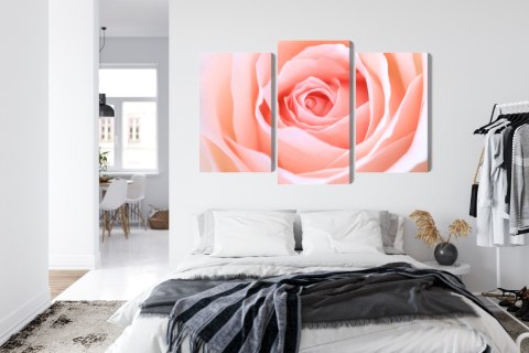 Obraz Wieloczęściowy Pastelowa Róża W Makroskali 3D Canvas Naturalny 90x60 LBS-3814-NC90-60_1X30-60_2X30-45