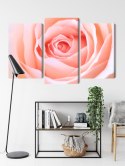 Obraz Wieloczęściowy Pastelowa Róża W Makroskali 3D Canvas Naturalny 90x60 LBS-3814-NC90-60_1X30-60_2X30-45