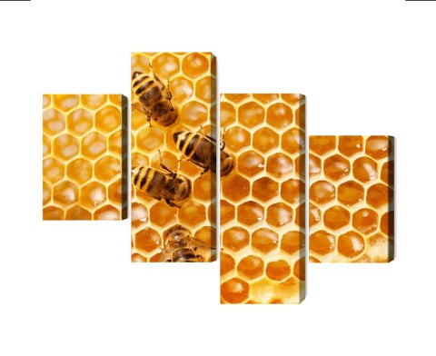 Obraz Wieloczęściowy Pszczoły Na Plastrze Miodu Canvas 120x75 LBS-3891-C120-75_2X30-75_2X30-45