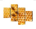 Obraz Wieloczęściowy Pszczoły Na Plastrze Miodu Canvas Naturalny 80x50 LBS-3891-NC80-50_2X20-50_2X20-30