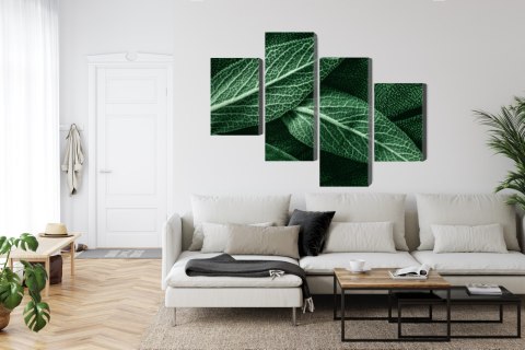 Obraz Wieloczęściowy Szałwia Odchodzi W Skali Makro Canvas 120x75 LBS-3811-C120-75_2X30-75_2X30-45