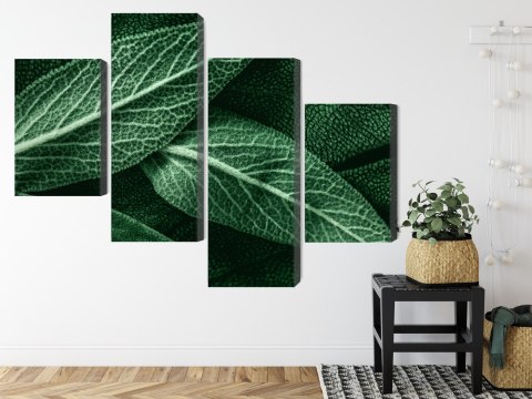 Obraz Wieloczęściowy Szałwia Odchodzi W Skali Makro Canvas 120x75 LBS-3811-C120-75_2X30-75_2X30-45