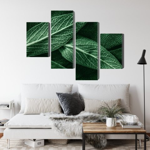 Obraz Wieloczęściowy Szałwia Odchodzi W Skali Makro Canvas Naturalny 80x50 LBS-3811-NC80-50_2X20-50_2X20-30