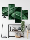 Obraz Wieloczęściowy Szałwia Odchodzi W Skali Makro Canvas Naturalny 80x50 LBS-3811-NC80-50_2X20-50_2X20-30