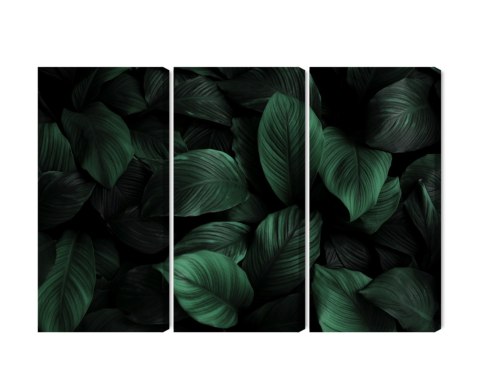 Obraz Wieloczęściowy Zielone Liście W Skali Makro Canvas 120x80 LBS-3713-C120-80_3X40-80