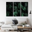 Obraz Wieloczęściowy Zielone Liście W Skali Makro Canvas 120x80 LBS-3713-C120-80_3X40-80