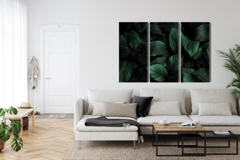 Obraz Wieloczęściowy Zielone Liście W Skali Makro Canvas 120x80 LBS-3713-C120-80_3X40-80