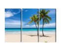 Obraz Wieloczęściowy Karaibska Plaża 3D Canvas 120x80 LBS-2099-C120-80_3X40-80